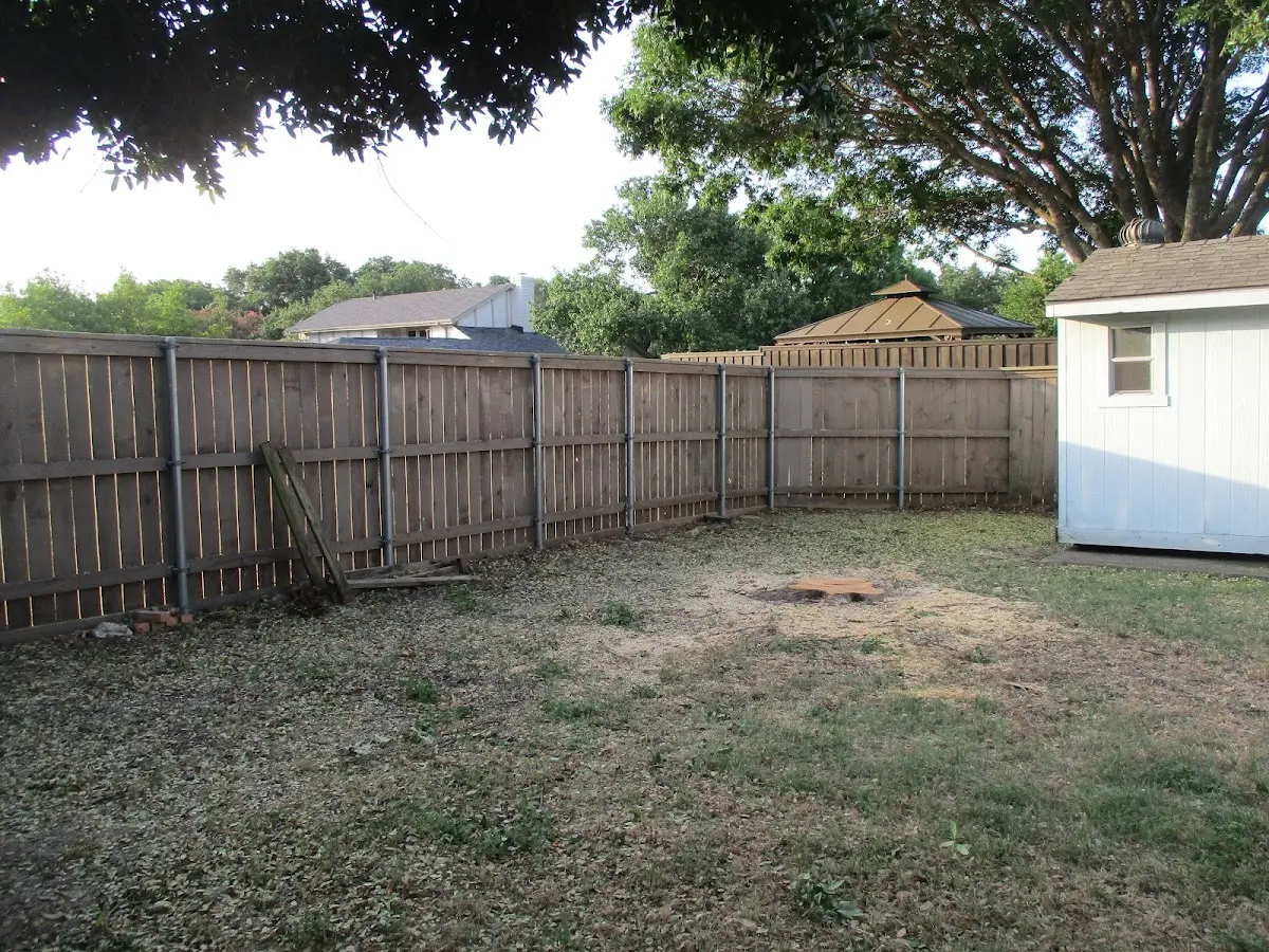 Cleared yard after professional tree removal in Laurelton